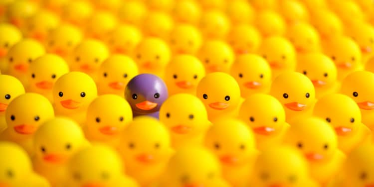 Purple duck among yellow ducks show how rhetorical questions stand out in a speech.